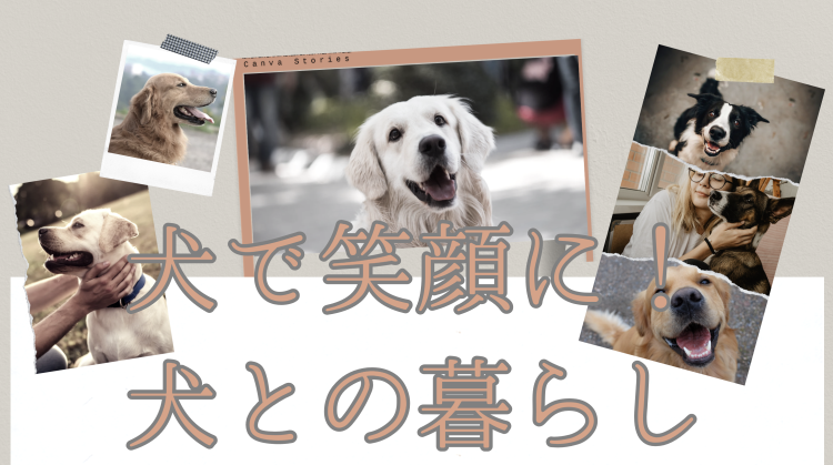 犬で笑顔に！犬との暮らし